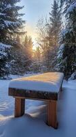 A bench in the snow with the sun setting behind it photo