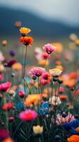 Colorful flowers in a field with mountains in the background photo