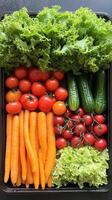 A tray of vegetables including carrots, tomatoes, lettuce and cucumbers photo