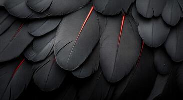 Dark and elegant black feathers with red accents arranged on a textured surface photo