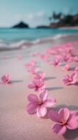 Pink flowers on the beach by the ocean photo