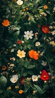 A bunch of flowers are in a field photo