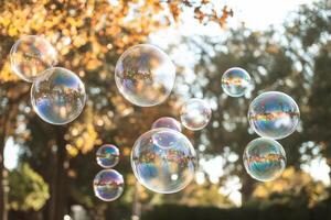 Soap bubbles floating in the air in front of trees photo