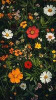 A field of colorful flowers with green leaves photo