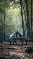 A tent in the woods photo