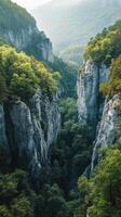 A view of a canyon in the mountains with trees photo