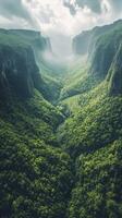 A valley surrounded by green trees and mountains photo
