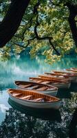 Rowboats on the lake in bled photo