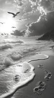 Black and white photograph of footprints on the beach photo