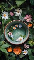 A bowl of flowers surrounded by green leaves photo