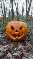 A carved pumpkin sitting in the woods photo