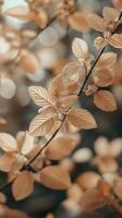 A close up of leaves on a branch photo
