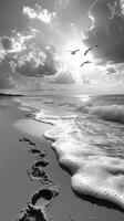 Black and white photograph of footprints on the beach photo