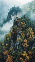 Autumn trees and fog in the mountains photo