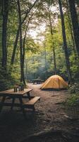 Camping in the woods photo