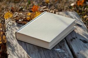An open book sitting on a wooden bench photo