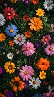 Colorful flowers are shown in a field photo