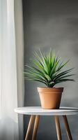 A potted plant sits on a table in front of a window photo