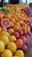A large display of oranges and lemons photo