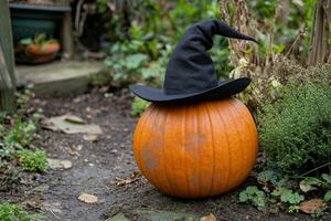 A pumpkin with a witch hat on it photo