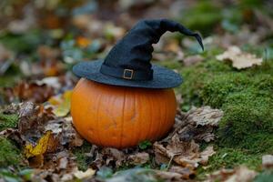 A pumpkin with a witch hat on it photo