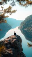 A person sitting on a rock overlooking a lake photo