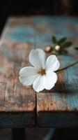 A single white flower sits on a wooden table photo