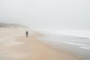 A person walking on the beach in the fog photo