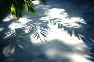 Palm tree shadows on the ground photo