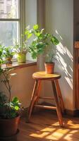 A wooden stool with potted plants on it photo