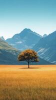 A lone tree in a field photo