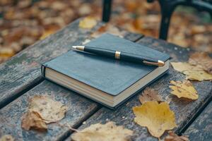 Autumn leaves on a wooden bench photo