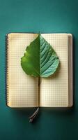 A leaf is placed on the page of an open notebook stock photo