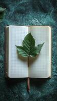 A leaf is placed on the page of a notebook photo