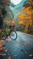 A bicycle is parked on the side of a road in the fall photo