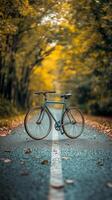 A bicycle is parked on the road in the middle of a forest photo