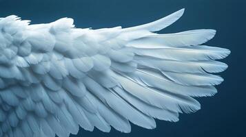 A close up of a white angel's wings photo