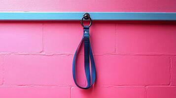 A blue leash hanging on a pink wall photo