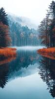 A lake surrounded by trees and fog photo