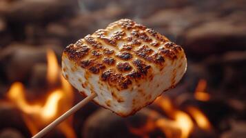 A marshmallow is being grilled over a fire photo