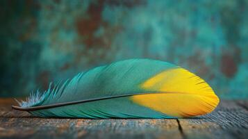 A yellow and blue feather on a wooden table photo