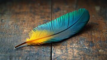 A blue and yellow feather on a wooden table photo