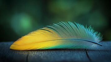 A yellow and green feather on a wooden table photo