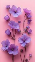 Purple flowers on a pink background photo