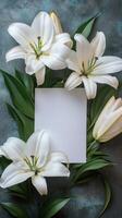 White lilies and a blank card on a dark background photo