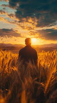 Man in wheat field at sunset photo