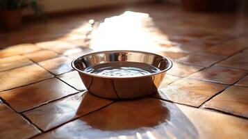 A bowl of water sits on a tiled floor photo