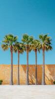 Palm trees against a yellow wall photo