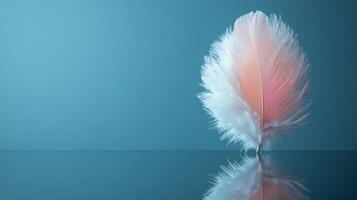 A feather is reflected in a mirror on a blue surface photo