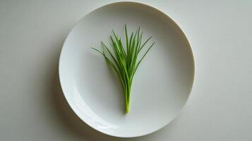A single green plant is on a white plate photo